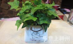 �͏d���ܔ[���L(f��ng)ˮ��ȫ